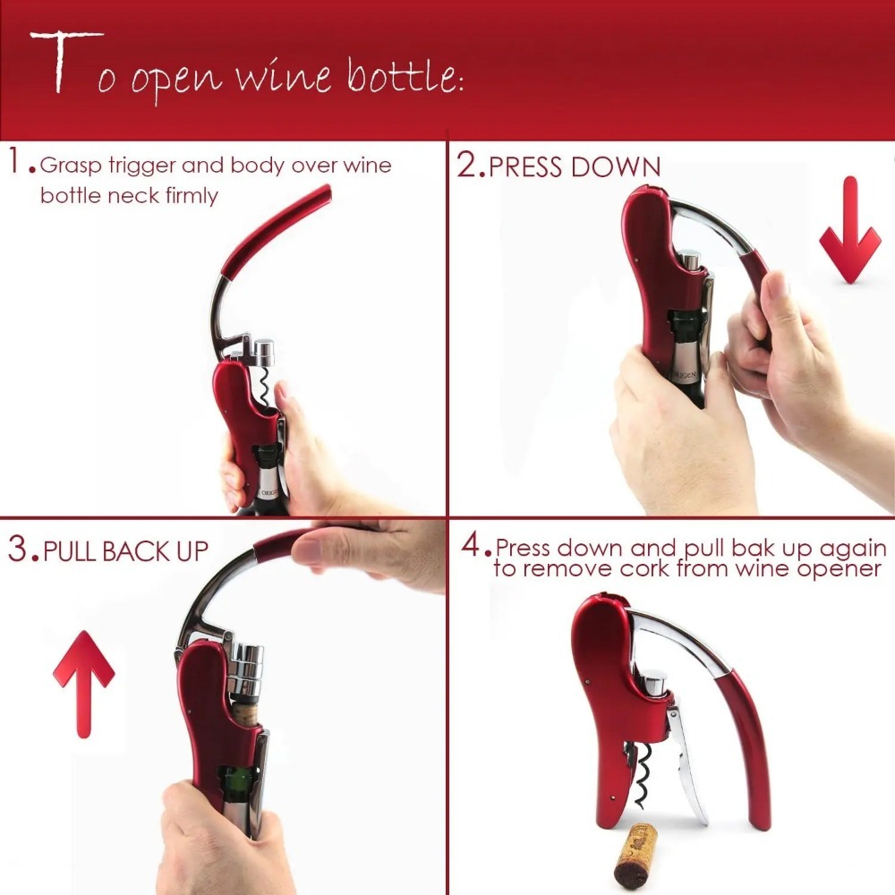 المهنية الفولاذ المقاوم للصدأ  - مراجعة Wine In Beer Bottle وسعره